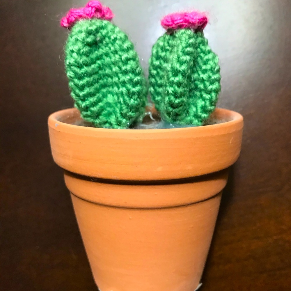 Crocheted mini cactus.